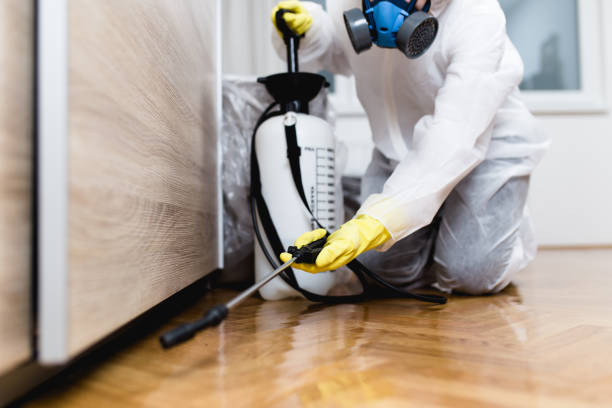 Best Pest Inspection Near Me  in East Dundee, IL