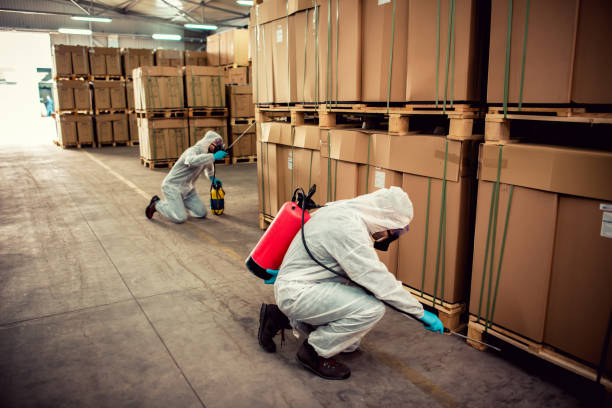 Wasp Removal Services in East Dundee, IL