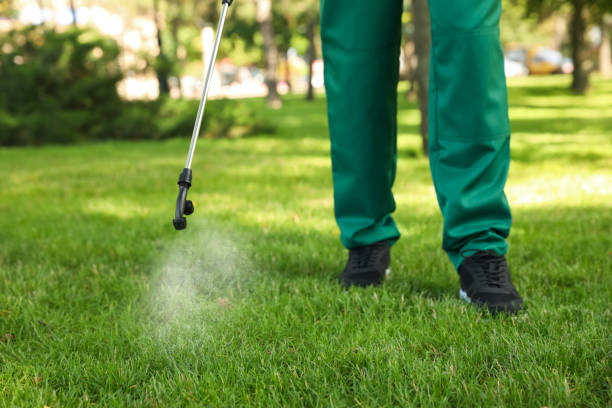 Best Wasp Removal Services  in East Dundee, IL