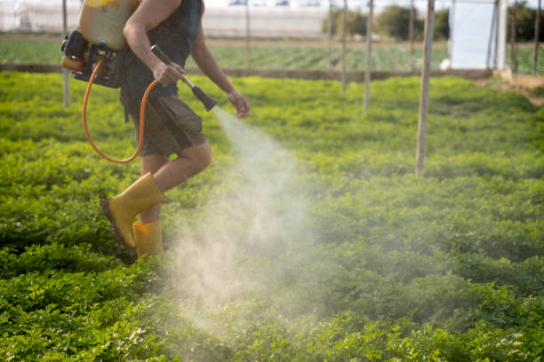 Best Pest Control Near Me  in East Dundee, IL