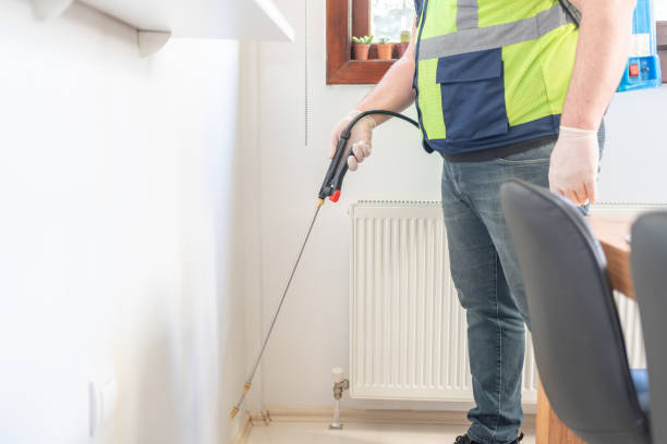 Best Mosquito Control Services  in East Dundee, IL