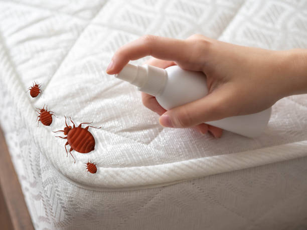 Best Flea Control Services  in East Dundee, IL