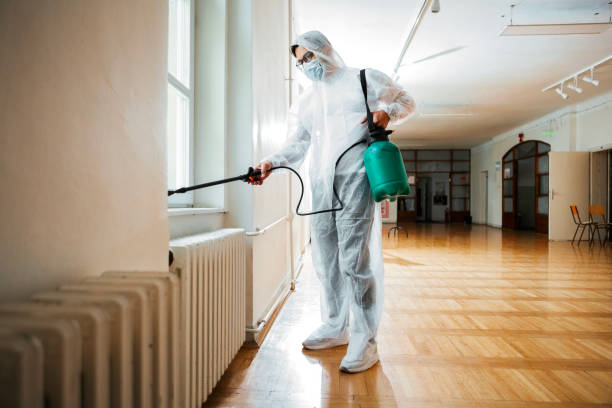 Flea Control Services in East Dundee, IL