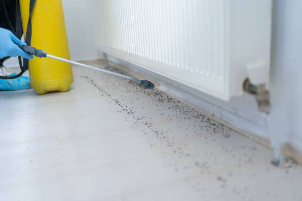 Best Emergency Pest Control  in East Dundee, IL