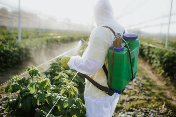  East Dundee, IL Pest Control Pros